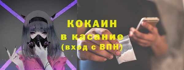 шишки Вяземский