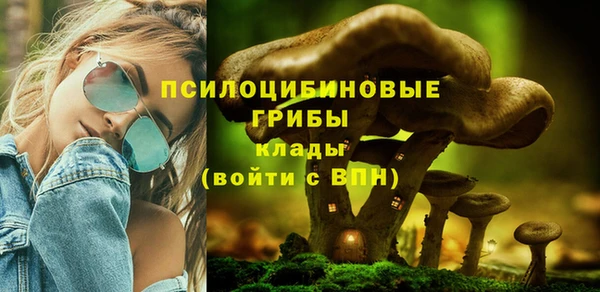 mix Горняк