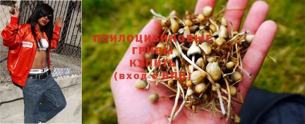 mix Горняк