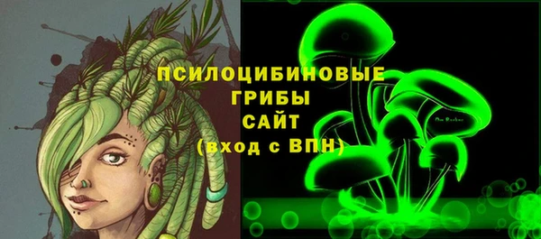 бошки Алапаевск