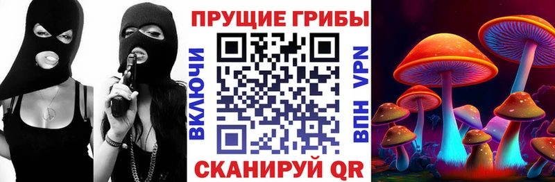 darknet Telegram  как найти наркотики  Гудермес  Псилоцибиновые грибы Cubensis 